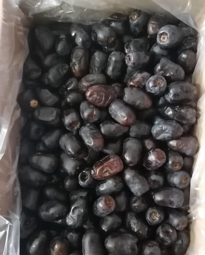 فروش خرما مضافتی خوزستان + قیمت خرید به صرفه